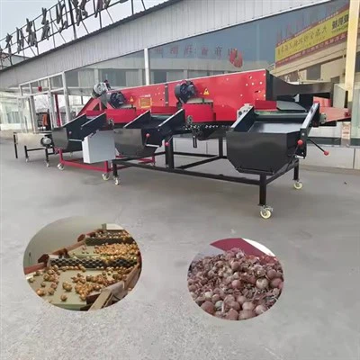 Mesin Pemilahan Mesin Grader China Mesin Onion Grading Mesin Secara Akurat Mengurutkan Kelas Bawang dan Lepaskan Debu Permukaan Bawang dan Kulit Mengambang.