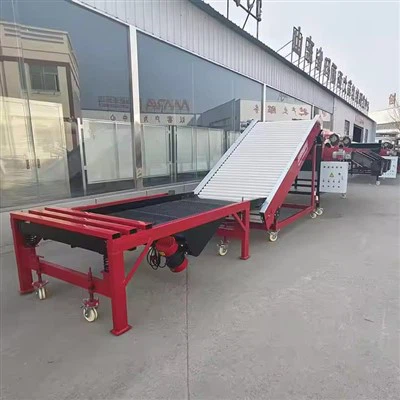 Galic Factory Portabel Garlic Sorting Equipment Design Lipat 15kW Power Farm and Factory Fleksibilitas Garlic Sorter