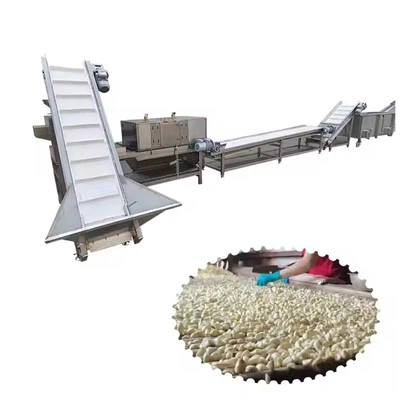 Lini Produksi Produksi Bubuk Bawang Garlic Pabrik Pemrosesan Bawang Bawang Putih 100-1000 kg Mesin pemrosesan bawang putih