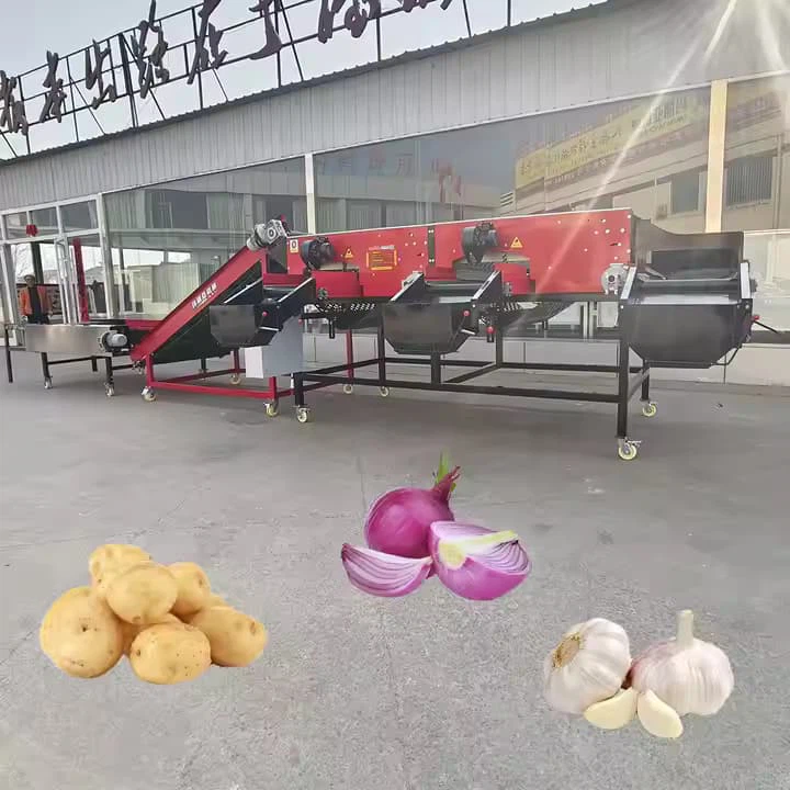 Onion mengklasifikasikan mesin penyortiran pemasok bawang putih mesin pemuatan sikat penyortiran mesin grader host