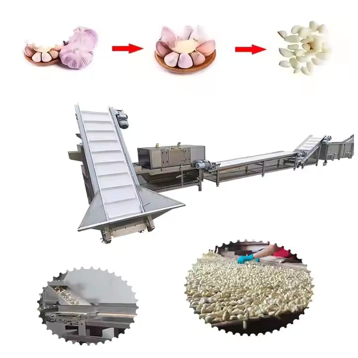 Grosir Mesin Peeling Garlic Peeling Commercial Pabrik Produksi Bawang Bawang Putih Pabrik Produksi Otomatis