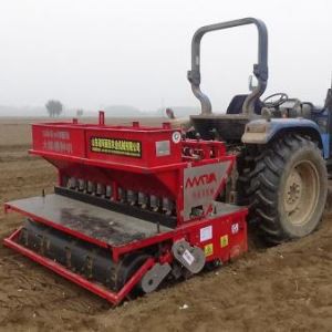 Penanam Bawang Putih